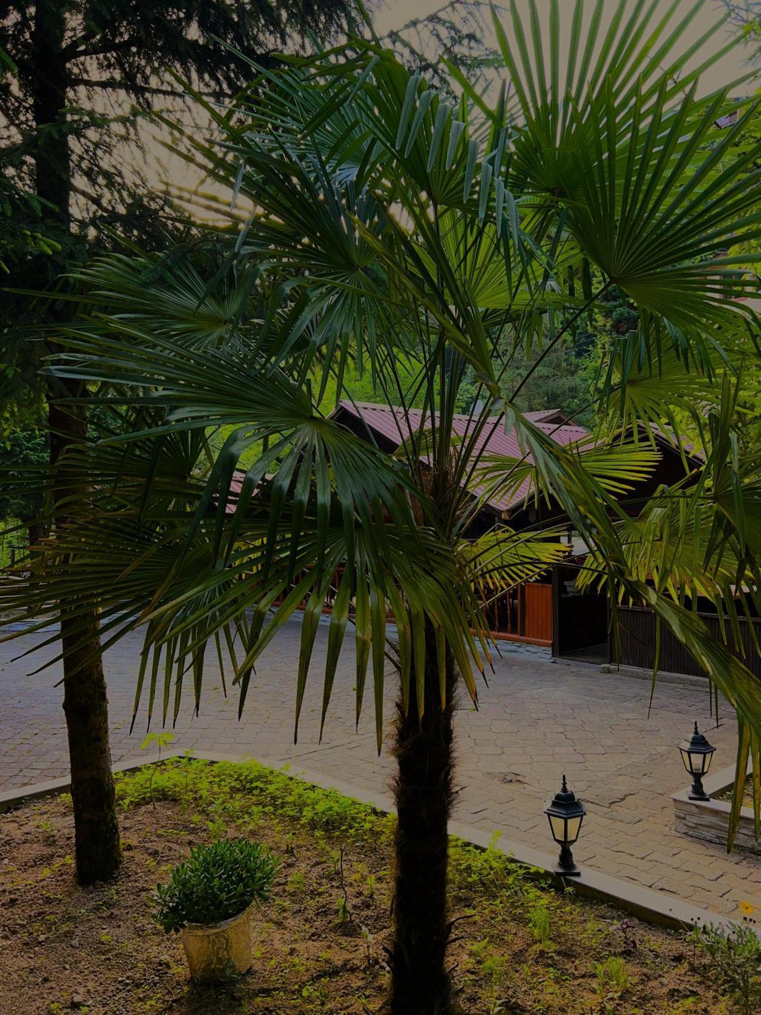 Isikli Kale Hotel Caykara Екстер'єр фото